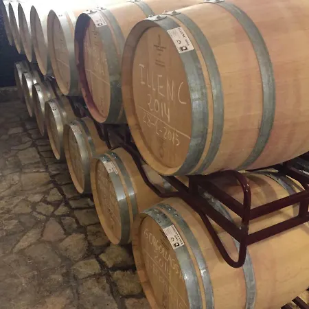 Am Kreuzberg - Nuerburgring *